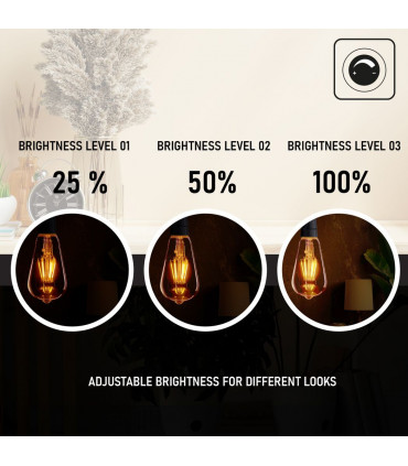 Light Bulb Amber Glass 5Pack E27 LED Edison Dimmable Vintage Warm White