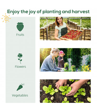 Greenhouse with Storage Shelf, Roll-Up ZipDoor PE Cover, Green 80cmx49cmx160cm