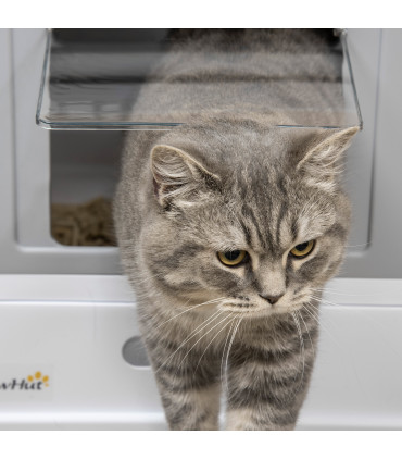 Hooded Cat Litter Box, Portable Pet Toilet, W/ Scoop, Tray, Grey Pawhut