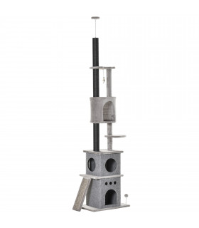 Cat Climbing Tower