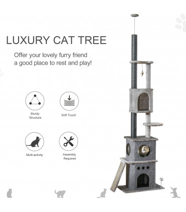 Cat Climbing Tower
