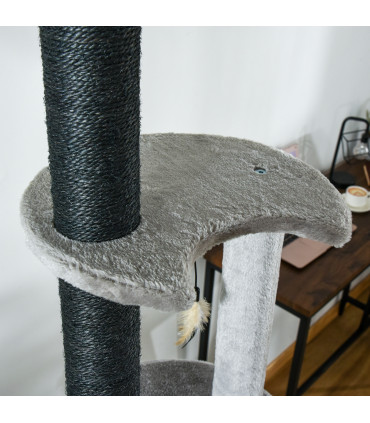 Cat Climbing Tower