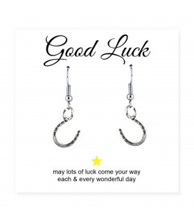 Silver 11.5mm Horseshoe Charm Earrings with Good Luck Message Card