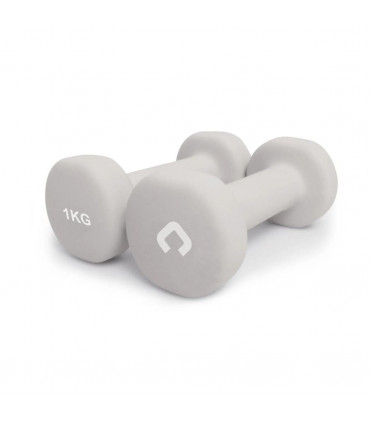 Gymcline Dumbbell Set 6KG w/ Robust Design for Beginners Cardio Workout Training