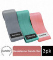 Gymcline Resistance Bands Set for Beginners to Experts w/ 3 Levels & Storage Bag