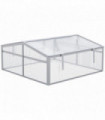 Greenhouse Cold Frame 100x100x48cm Silver Transparent Aluminium PC Board 4mm