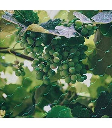 Garden Netting Anti Bird Veg Fruit Plant Pond Net Protection Water