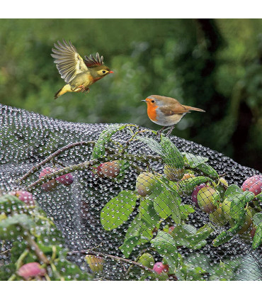 Netting Pond Protection Plants Veg Crops Fruit Fine Mesh 2M X 10M Light Green