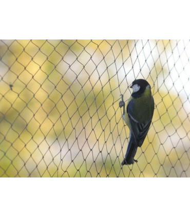 Netting Pond Protection Plants Veg Crops Fruit Fine Mesh 2M X 10M Light Green