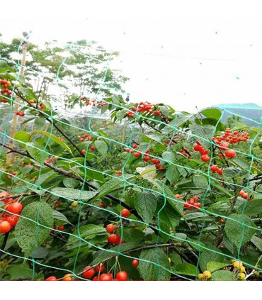 12 x Anti Bird Garden Netting Pond Net Protection Plants Veg Crops Fruit Fine Mesh 2M X 10M