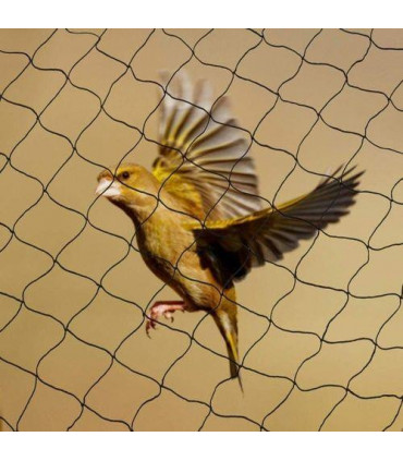 12 x Anti Bird Garden Netting Pond Net Protection Plants Veg Crops Fruit Fine Mesh 2M X 10M