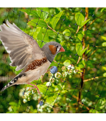 12 x Anti Bird Garden Netting Pond Net Protection Plants Veg Crops Fruit Fine Mesh 2M X 10M