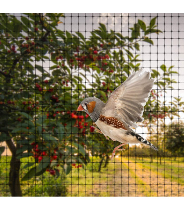 12 x Anti Bird Garden Netting Pond Net Protection Plants Veg Crops Fruit Fine Mesh 2M X 10M