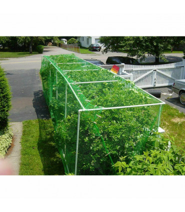 12 x Anti Bird Garden Netting Pond Net Protection Plants Veg Crops Fruit Fine Mesh 2M X 10M