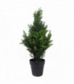 Leaf Green 60cm Cedar Tree in Pot - Realistic Appearance, UV Protected, Leaves