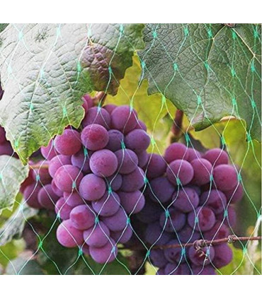 Netting Green Nylon 10MX2M Heavy Duty Garden Trellis For Climbing Outdoor Plants