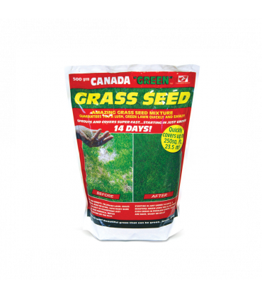 Canada Green Grass Seed 500g