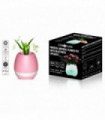 Debonair Music Flower Pot Bluetooth Speaker for Bedroom & Office Pink