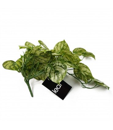 Artificial Trailing Light Green Plant 35cm Realistic Variegated Leaves Display