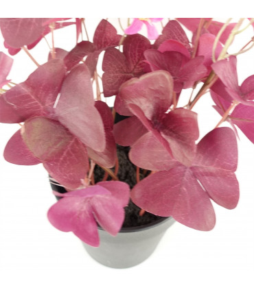 Artificial Plant Purple Shamrock Pink Flowers 30cm Silk Plastic Potted Black Pot