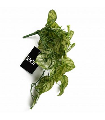 Artificial Trailing Light Natural Look Plant Green Variegated 35cm Realistic