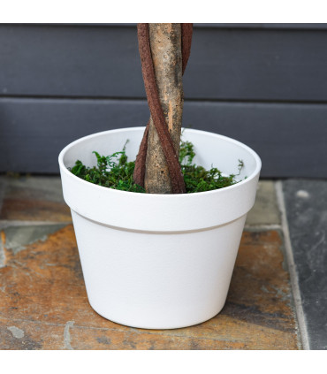 Artificial Camellia Plant Pink Green 18cmx18cmx90cm 3FT Rose Tree 21 Flowers Pot