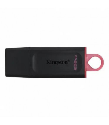 Kingston DataTraveler Exodia Flash Drive USB 3.2 Gen 1- 256GB