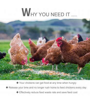 Automatic Chicken Feeder Galvanized Steel Poultry Feeders, 11.5kg of Feeds