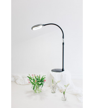 3in1 Floor Magnifier Black