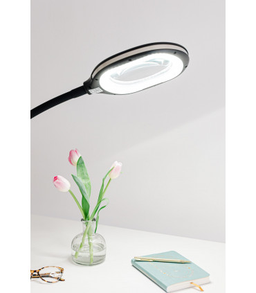 3in1 Floor Magnifier Black