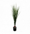 Barrel Planter Ceramic Green Glazed 20cm Artificial Green Dracaena Plant 90cm