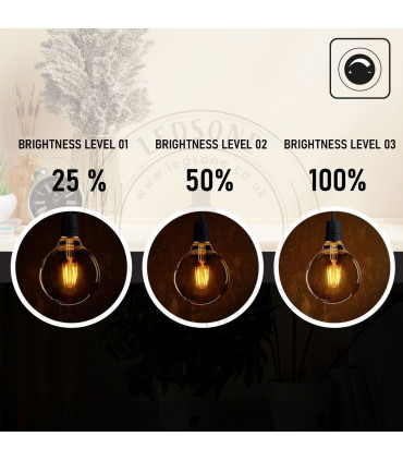 LED Dimmable Bulb Glass Amber 8W E27 3 Pack Vintage Globe Edison LED Light Bulb