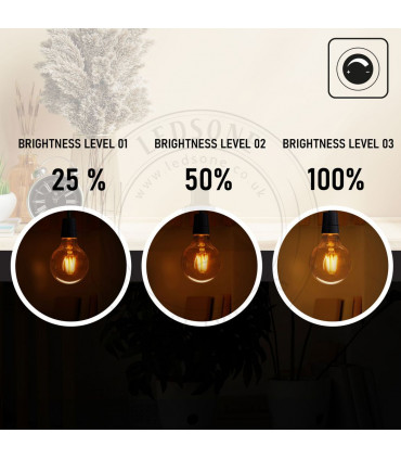 LED Dimmable Bulb G95 E27 2700K 4W Amber Glass Metal Vintage Light Bulbs Pack 3