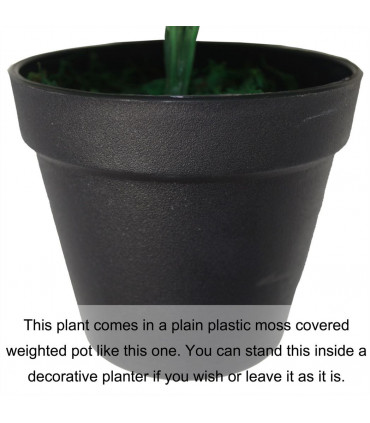 Artificial Taro Plant - 45cm Dark Taro Green Leaves Moss Covered Pot