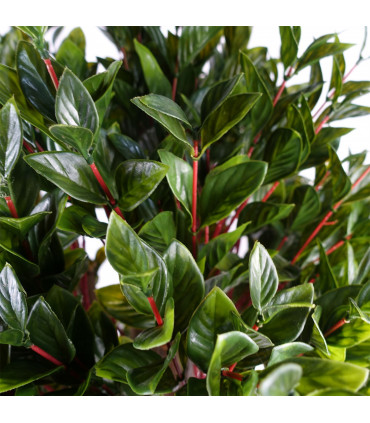 Topiary Pair of UV Resistant Gloxinia Ball Topiary 90cm Green 1608 Leaves Garden