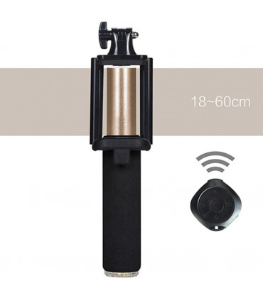 Aquarius Selfie Stick with Video Function - Gold