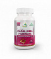 Caralluma Fimbriata Capsule