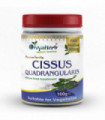 Cissus Quadrangularis Powder