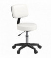 Swivel Salon Chair - Adjustable Height 43-55cm - Padded Seat Back 5 Wheels White