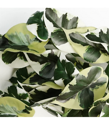 Electric Oil Burner Multicolour 3D Starburst Light Up - 20.04x27.50x8.74 cm