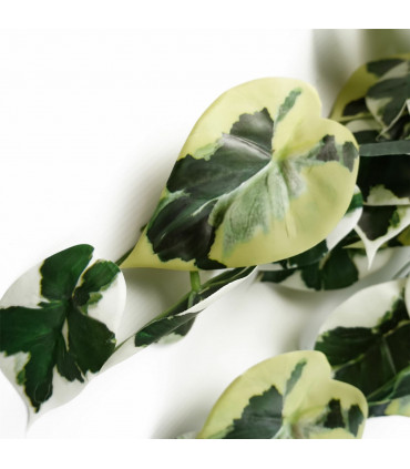 Electric Oil Burner Multicolour 3D Starburst Light Up - 20.04x27.50x8.74 cm