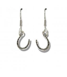 Horseshoe Drop Earrings