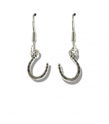 Horseshoe Drop Earrings