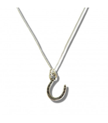 Horseshoe Silver Necklace