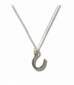 Horseshoe Silver Necklace