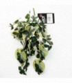 Artificial Trailing Variegated Marble Pothos Plant 40cm Green Realistic Display