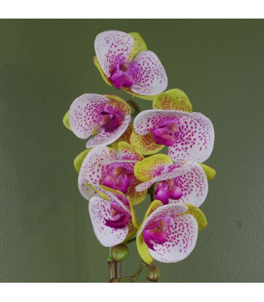 Artificial Orchid