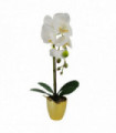 Artificial Orchid