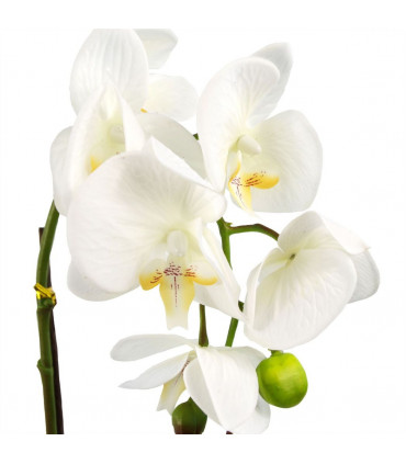 Artificial Orchid