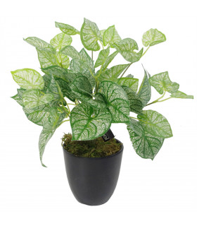 Artificial Caladium Plant Green 40cm Plastic Leaf Design Realistic Fern